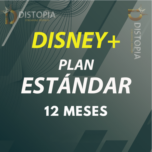 Curso D | 360 Días | Estándar